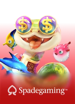Meetang24hr